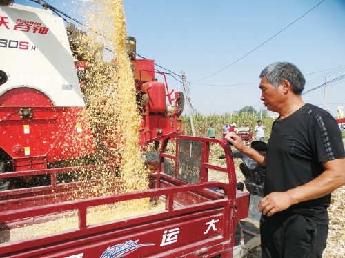 图片新闻