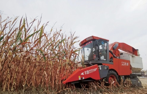 籽粒机收引领玉米产业高质量发展