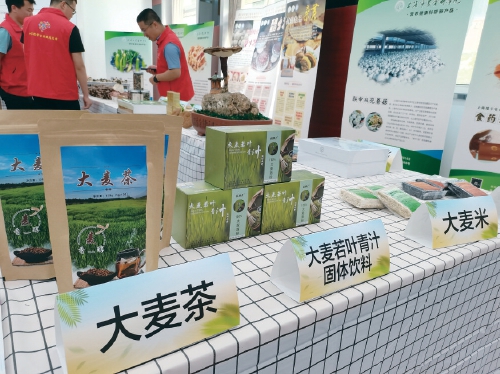 上海市农业科学院　科技节上展示绿色优质产品