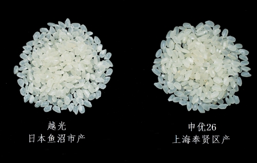 ΪƷע롰ˮ
