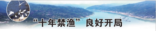 ʮ桱ÿ