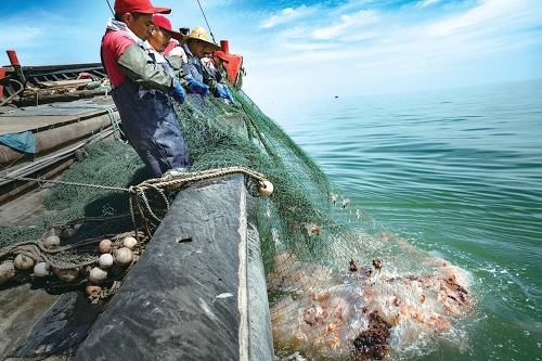 2021中国（营口）海蜇节暨中国·营口国际渔业博览会　东北亚（营口）农副产品博览会