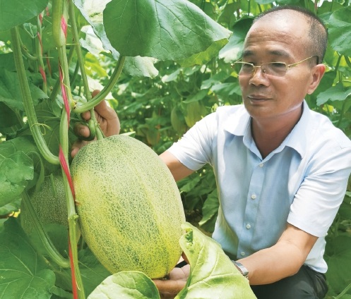 海南乐东：“三品”战略助推热带农业提质增效