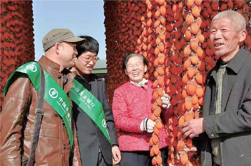 金融甘霖润三秦　产业画卷绽光彩