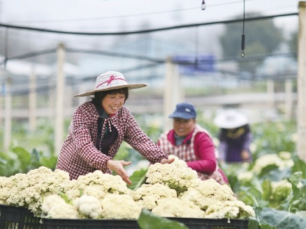 贵州省赤水市：发展种养一体化提高农业增效
