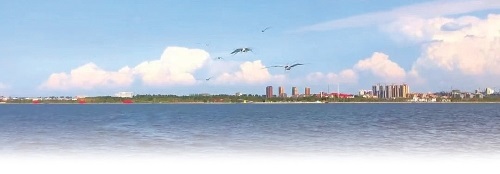 卧龙湖畔涌动“振兴潮”
