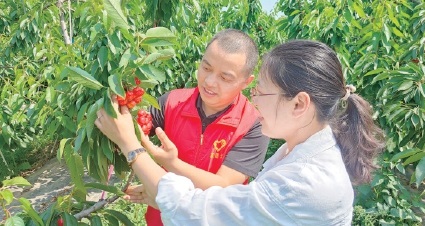 ƶᡡ