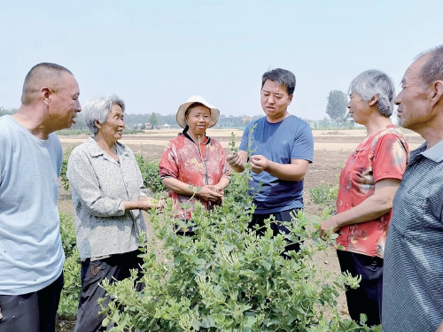 圖片新聞