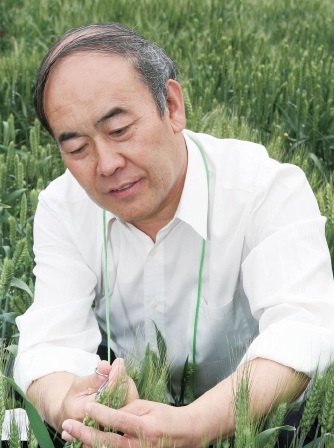 现代智慧生态农业：未来30年中国农业方略