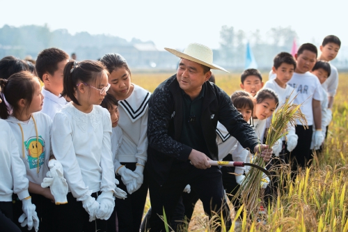 “田间课堂”学农事