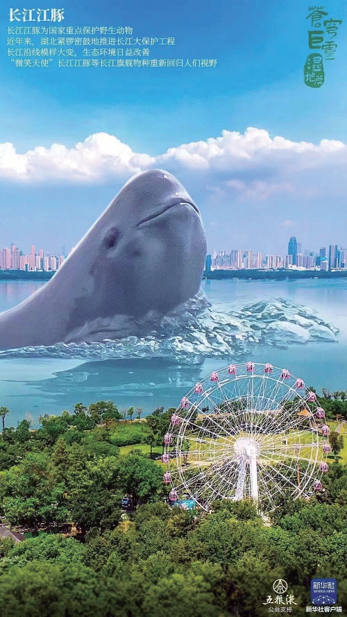 衰ֽࡱ̬콭ౣ