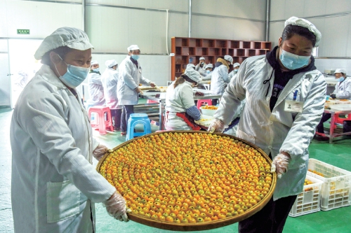 图片新闻