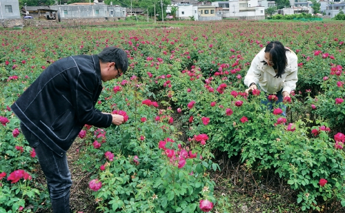 特色产业助农增收