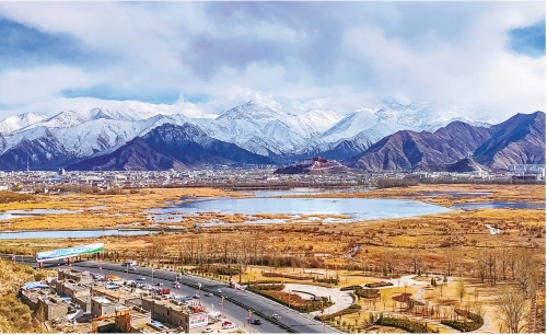 高原飞春雪