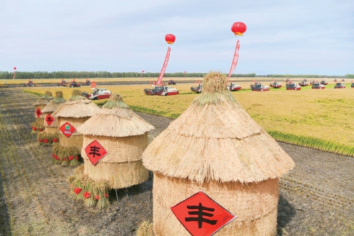 如何全面夯实粮食安全根基？