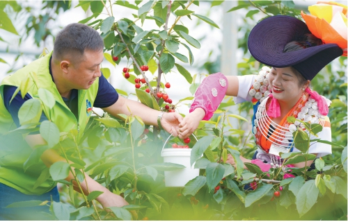 贵州贵阳市花溪区：驻村帮扶促振兴