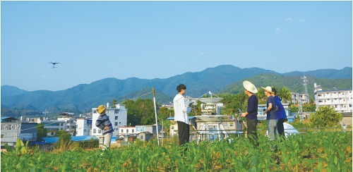 边境“追”虫人