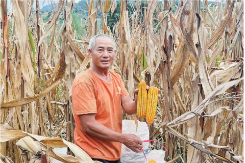 轉(zhuǎn)基因技術(shù)，給世界多一種選擇