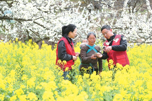 春耕时节助农忙