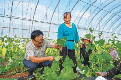 黨員做示范　蹚出共富路